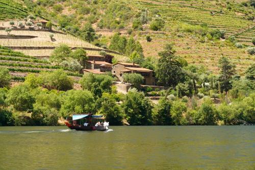 a boat on the water near a vineyard at Quinta de S. Jose - Turismo Rural in Ervedosa do Douro