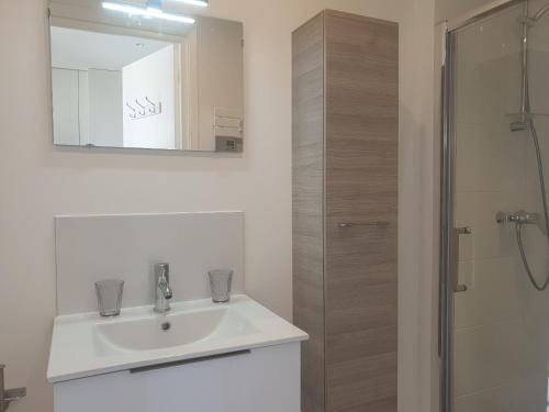 une salle de bain avec un lavabo et une douche dans l'établissement STUDIO LES ALGUES, à Cannes