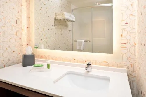 Holiday Inn & Suites Orlando - I-Drive - Theme Parks by IHG photo 6