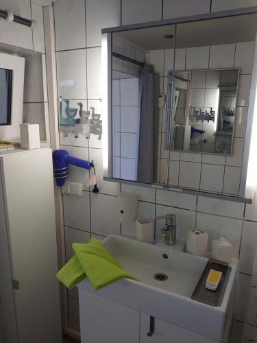 ein Badezimmer mit einem Waschbecken, einem Spiegel und einem Kühlschrank in der Unterkunft Kleine gemütliche Ferienwohnung im Tiny House Stil Lutherstadt Wittenberg in Lutherstadt Wittenberg