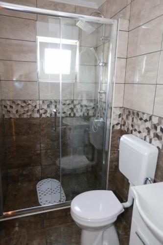 łazienka z toaletą i przeszkloną kabiną prysznicową w obiekcie Apartman Vlačić w mieście Trebinje