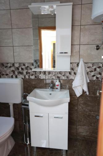 een badkamer met een wastafel, een toilet en een spiegel bij Apartman Vlačić in Trebinje