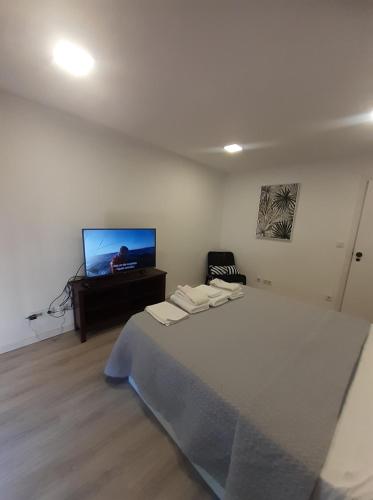 1 dormitorio con 1 cama grande y TV de pantalla plana en APTORRE, en Torre de Moncorvo