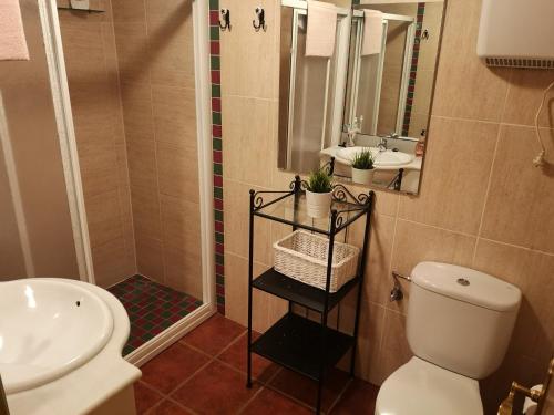 a bathroom with a toilet and a sink and a mirror at Amplio apartamento de montaña con terraza y WiFi in Canfranc