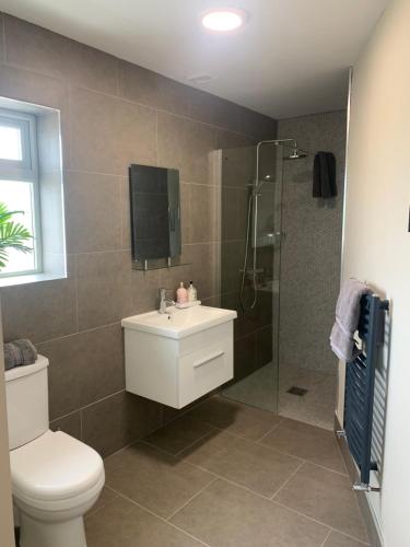 a bathroom with a toilet and a shower and a sink at Wild Atlantic Way Cottage in Achill