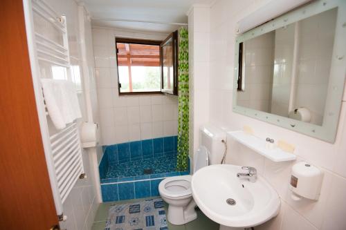a bathroom with a sink and a toilet and a mirror at Pensiunea Califar in Dunavăţu de Jos