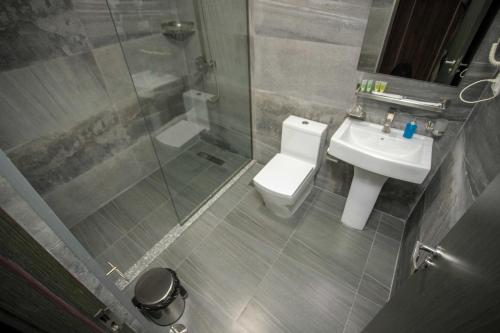 a bathroom with a shower and a toilet and a sink at Hotel Nobilis Hall in K'obulet'i