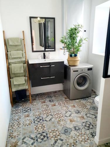 une salle de bain avec une machine à laver et un lavabo dans l'établissement Appartement au cœur de Sartene, à Sartène