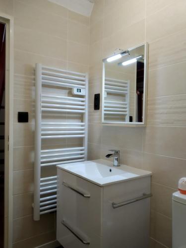une salle de bain avec un lavabo et un miroir dans l'établissement Résidence Peyresourde, à Luchon