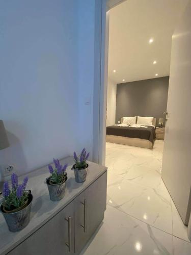 a bedroom with a bed and three potted plants on a counter at JUEL APARTMENTS in Pefkochori