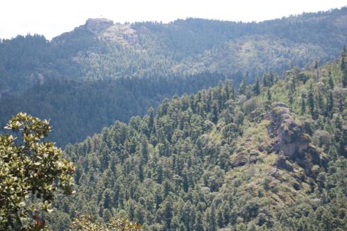 a view of a mountain with trees and rocks at Cabañas del Bosque in San Miguel Regla