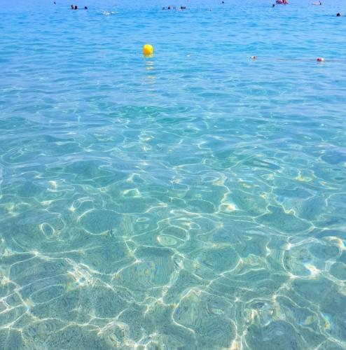 Amirante – Photos 2