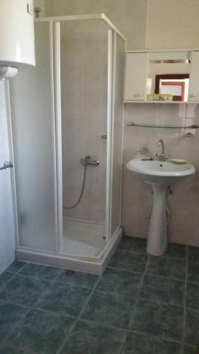 ein Bad mit einer Dusche und einem Waschbecken in der Unterkunft Vladone in Vršac