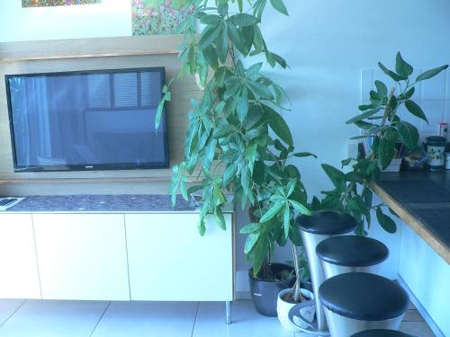 a kitchen with two potted plants and a microwave at Liège centre 13 Quai Godefroid Kurth POUR 2 PERS à 25 min gare Guillemins in Liège