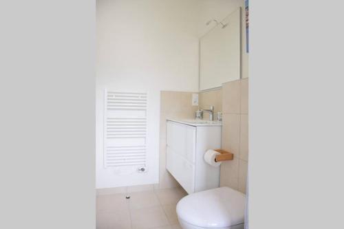een witte badkamer met een toilet en een raam bij Dokaetchea in Urrugne