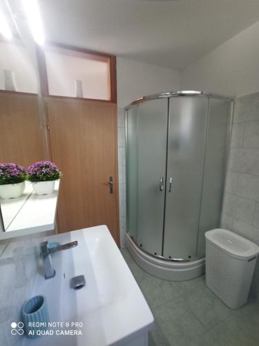 古維達里的住宿－Apartment Glavica，带淋浴、卫生间和盥洗盆的浴室