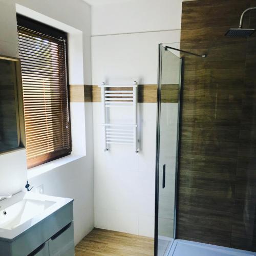 a bathroom with a glass shower and a sink at Palma de Masuria Ekskluzywny Dom na wyłączność in Sniadowo