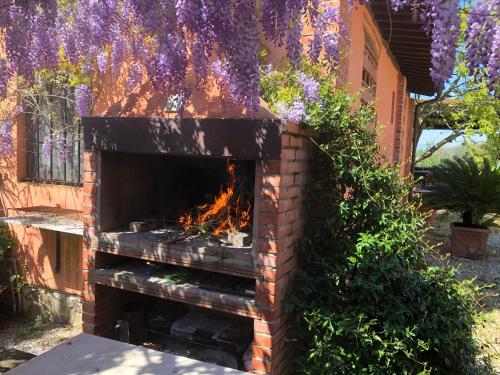 Jardín al aire libre en Agriturismo Podere Marchiano