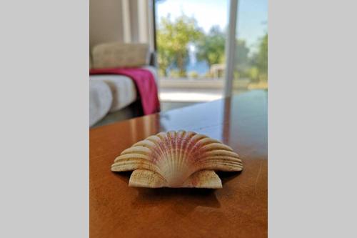 a shell sitting on top of a wooden table at Panorama View Apartment 2 in Áyioi Apóstoloi