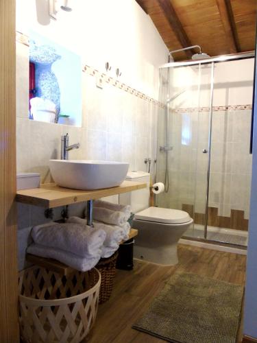 a bathroom with a sink and a toilet and a shower at Casa da Carvalheira in Parada