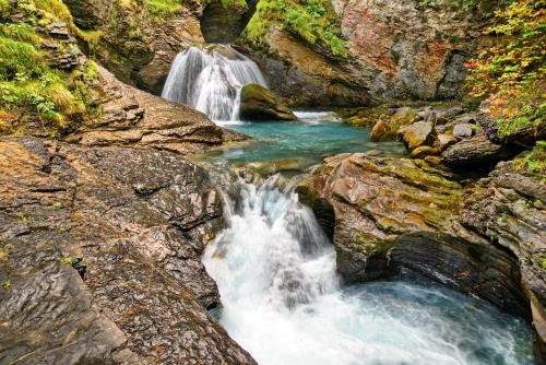 Gallery image of Alpenrose in Innertkirchen