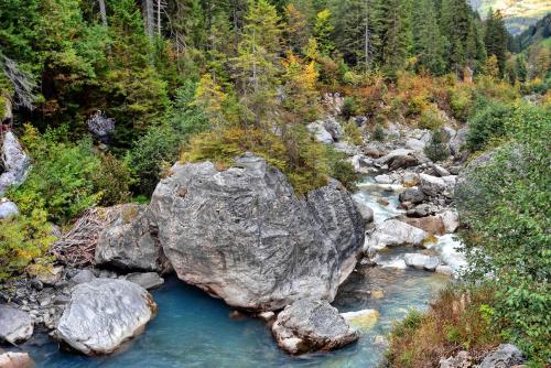 Gallery image of Alpenrose in Innertkirchen