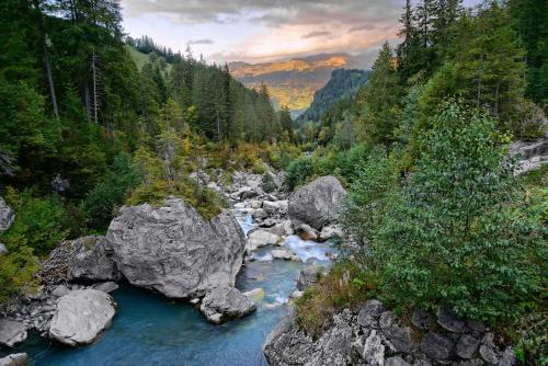 Gallery image of Alpenrose in Innertkirchen