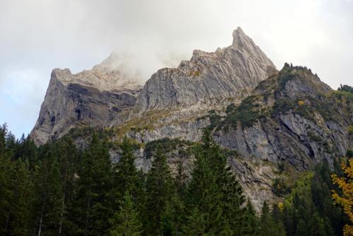 Gallery image of Alpenrose in Innertkirchen
