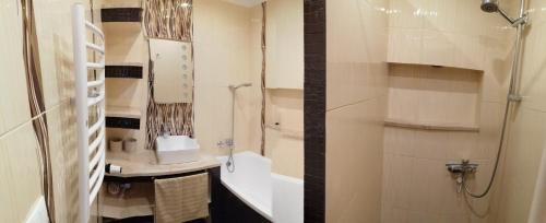 a bathroom with a shower and a sink at Apartament w Oklinach in Wiżajny