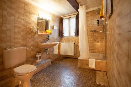 uma casa de banho com um WC, um lavatório e uma banheira em Hotel Ritter St. Georg em Braunschweig