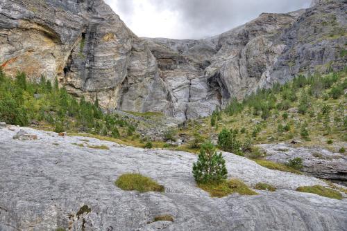 einen felsigen Berg mit einem Baum in der Mitte in der Unterkunft Alpenrose in Innertkirchen