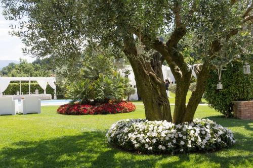 Hotel Villa Calvo – Photos 2