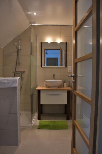 une salle de bain avec un lavabo et une douche dans l'établissement Domaine des Fougères, à Guimaëc