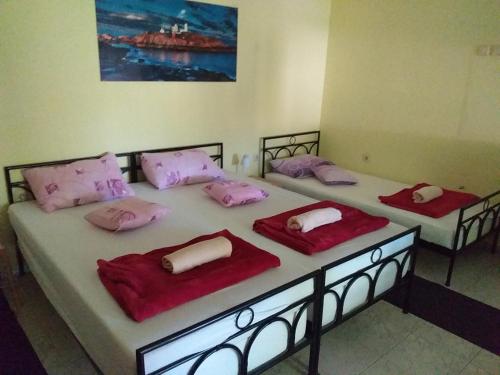 BečejにあるStefiのピンクの枕が備わる客室内のベッド2台