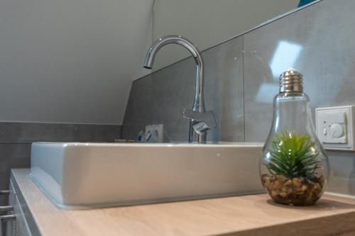 a kitchen sink with a faucet and a plant on a counter at Altstadthotel Wilde Rose in Eppingen