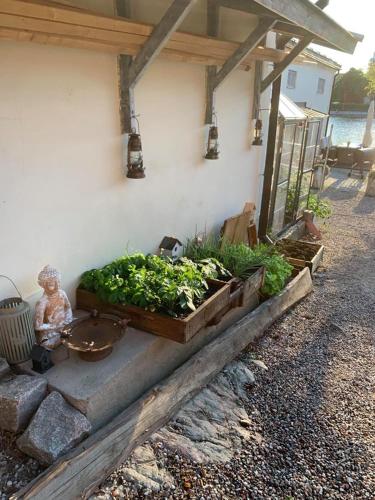 a patio with some plants on the side of a building at Stugan med Bryggan i Gamla Staden in Eskilstuna