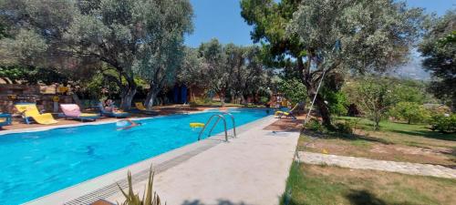 a swimming pool with trees and people in it at Bahar Bahce Datca in Mesudiye