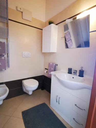 a bathroom with a white sink and a toilet at Apartment BELLA VISTA in Bolzano