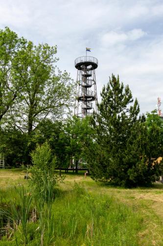 a tower in the middle of a field with trees at Berghotel Drei Brüder Höhe in Marienberg