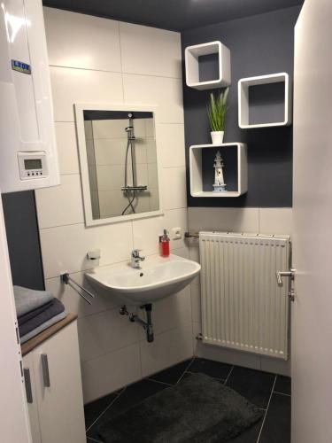 La salle de bains est pourvue d'un lavabo et d'un miroir. dans l'établissement Wohlfühlen in der Altstadt von Steyr, à Steyr