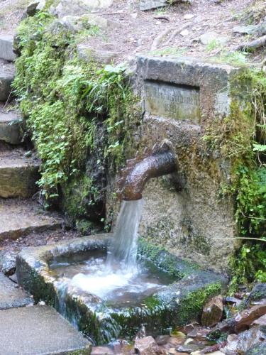 a stone fountain with water coming out of it at Kleines Refugium in Bad Sachsa