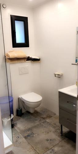 une salle de bain avec toilettes, lavabo et miroir dans l'établissement Maison au centre d'un village typique, à Omessa