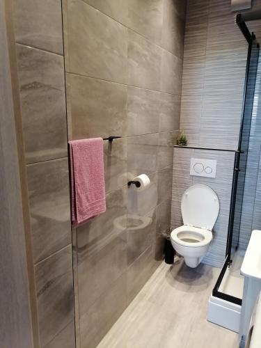a bathroom with a toilet and a glass shower stall at Apartment Red Rose in Kaštela