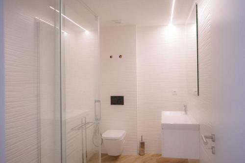 アヴェイロにあるLoft CMJMの白いバスルーム(トイレ、シャワー付)