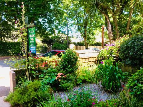 a garden with flowers and plants on a street at Rosalie Guest House in Penzance