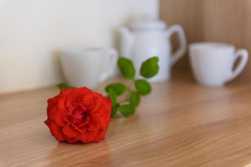 a red flower sitting on top of a wooden table at Olympion Village in Kavos