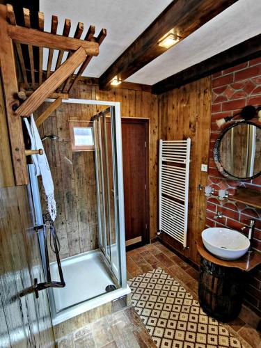 a bathroom with a shower and a sink at Apartment Slavonska Kuća in Pleternica