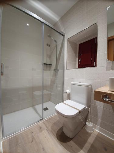 a bathroom with a toilet and a glass shower at Albergue Casa Cuartel in Fonsagrada