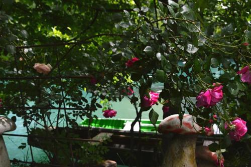 Κήπος έξω από το Una Rosa Hostel
