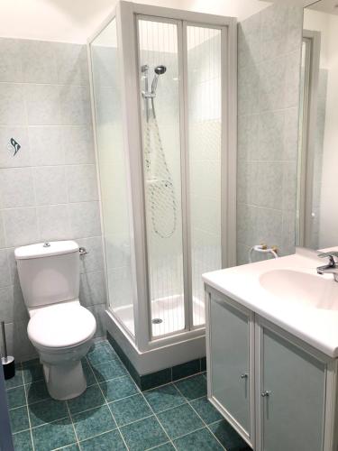 a bathroom with a toilet and a shower and a sink at Un petit coin de Bastide in Carcassonne